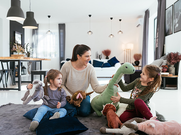 Home Security Left Image